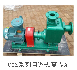 CYZ����ʽ�x�ı�